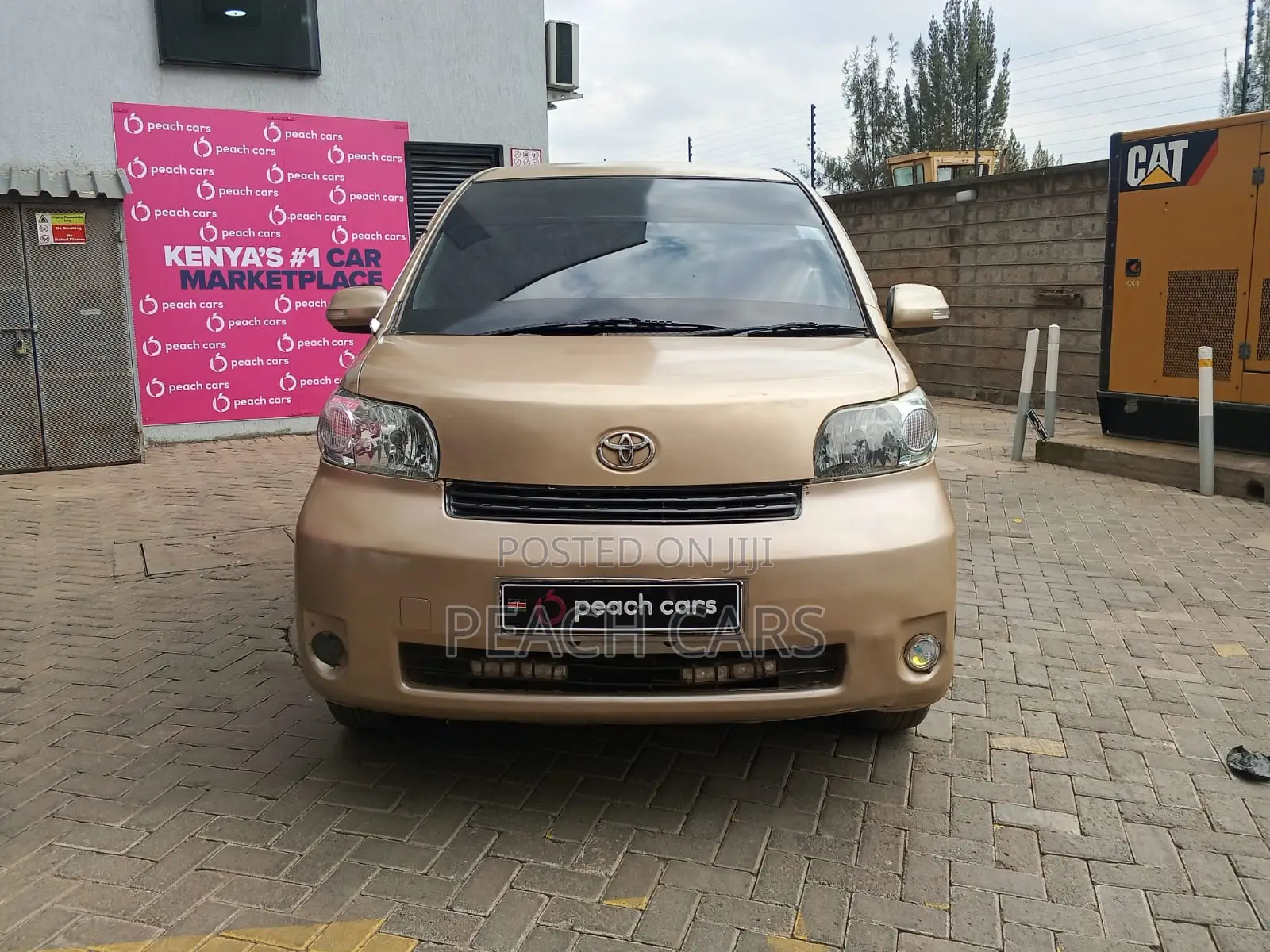 Toyota Porte 2010 Gold