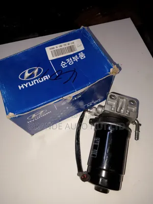 Filter Sensor Hyundai Santa Fe Diesel