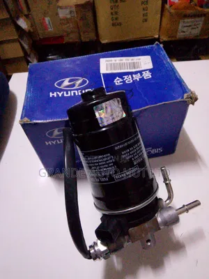 Filter Sensor Hyundai Santa Fe Diesel