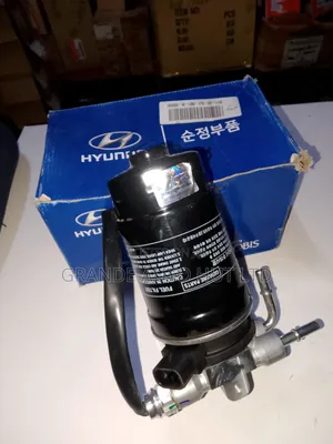 Filter Sensor Hyundai Santa Fe Diesel