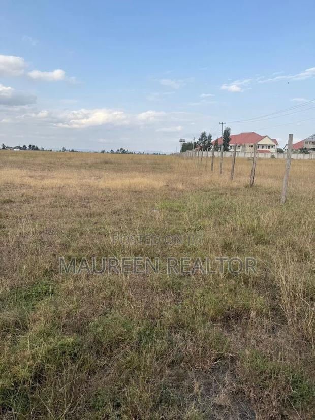 Prime Plots 50x100 Joska Sunshine