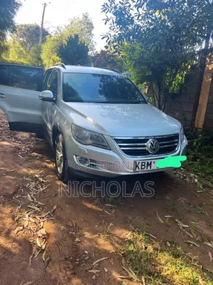Volkswagen Tiguan 2009 Silver