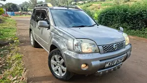 Nissan X-Trail 2.0 2006 Silver
