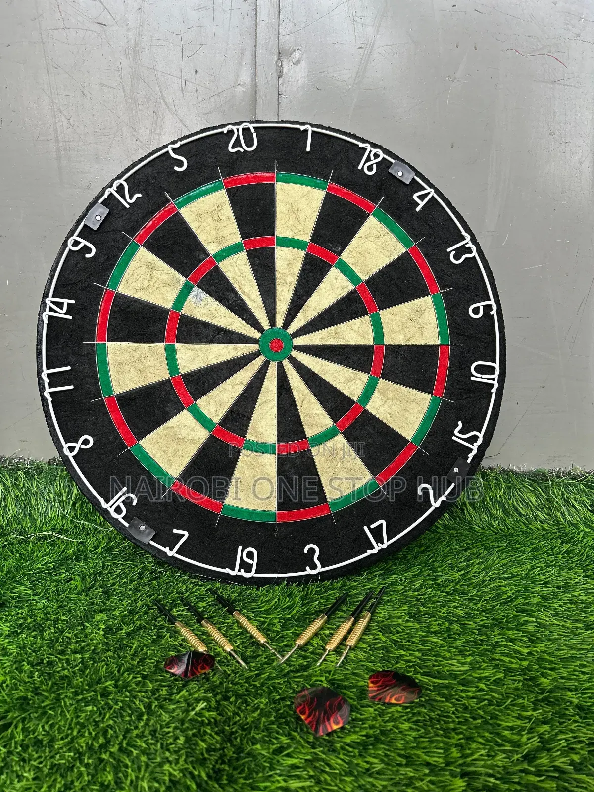 Proffessional Dartboard