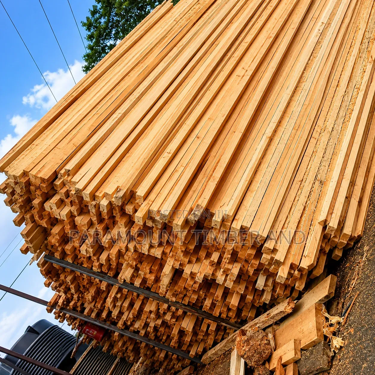 Cypress, Bluegum, Pine and Grevillea Timber