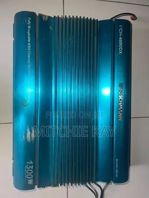 Boschman Amplifier and Underseat Woofer