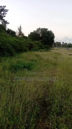 1/2 Acre Prime Business Zone on Ukunda's Lunga-Lunga Road