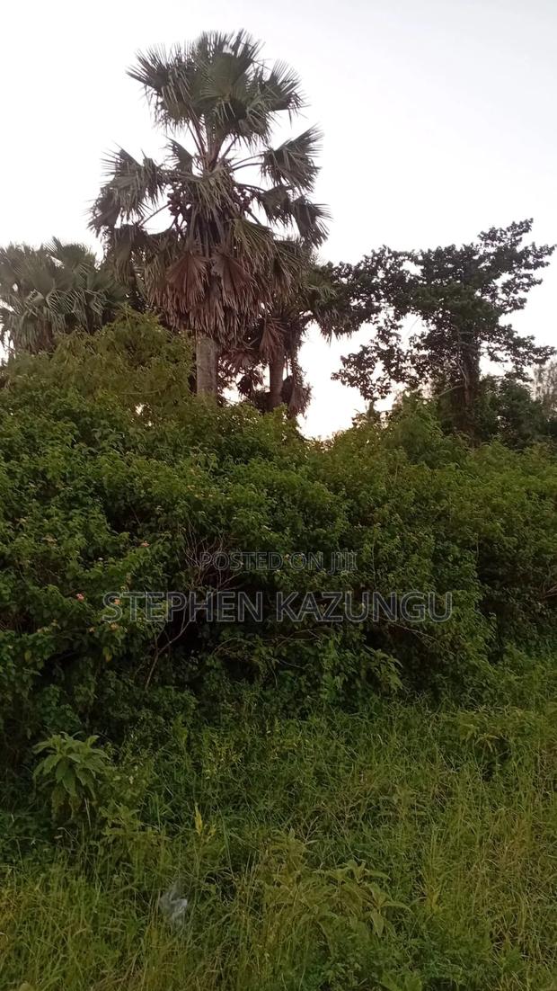 1/2 Acre Prime Business Zone on Ukunda's Lunga-Lunga Road - thumbnail 5
