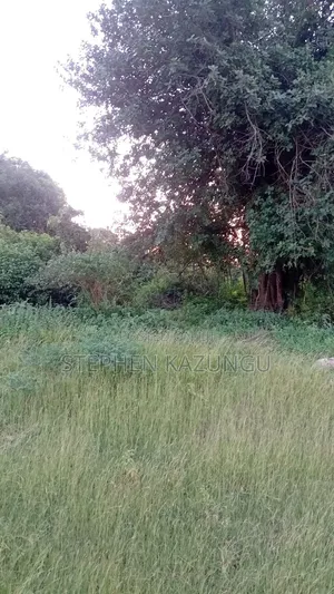 1/2 Acre Prime Business Zone on Ukunda's Lunga-Lunga Road