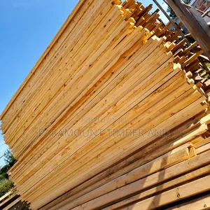 Quality and Affordable Timber for Roofing