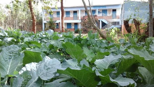 8-Acre Developed Farm and Agribusiness for Lease – Mithini, Muranga