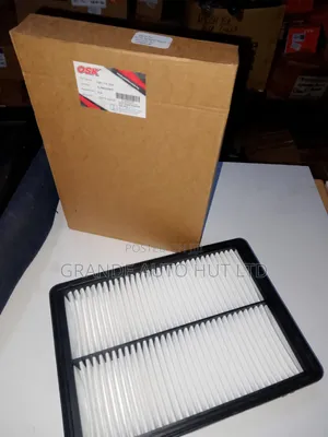 Air Filter Santafe 2016/Sorento Petrol (Osk)