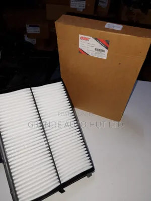Air Filter Santafe 2016/Sorento Petrol (Osk)