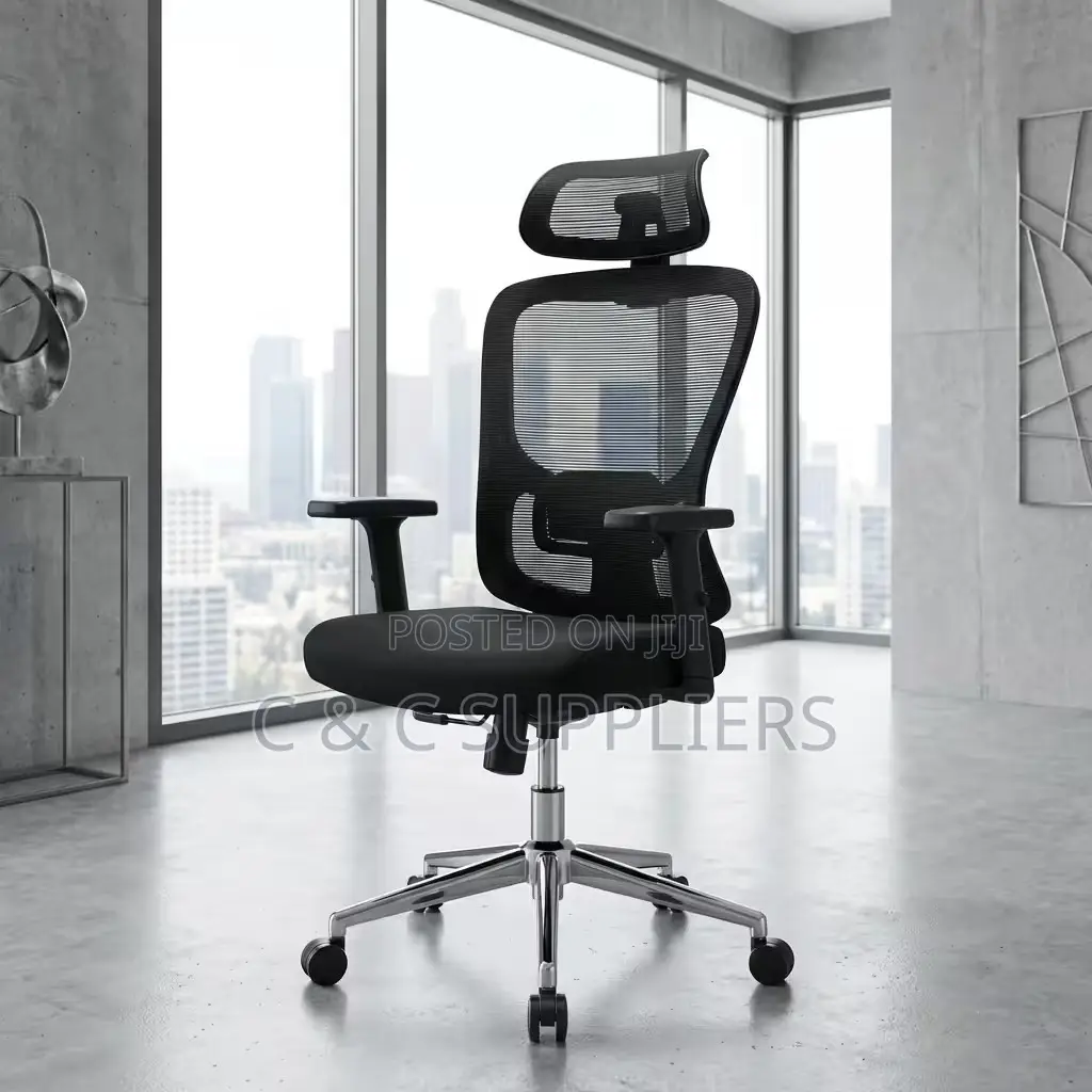 Ergonomic Chair