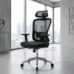 Ergonomic Chair