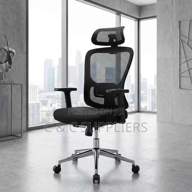 Ergonomic Chair