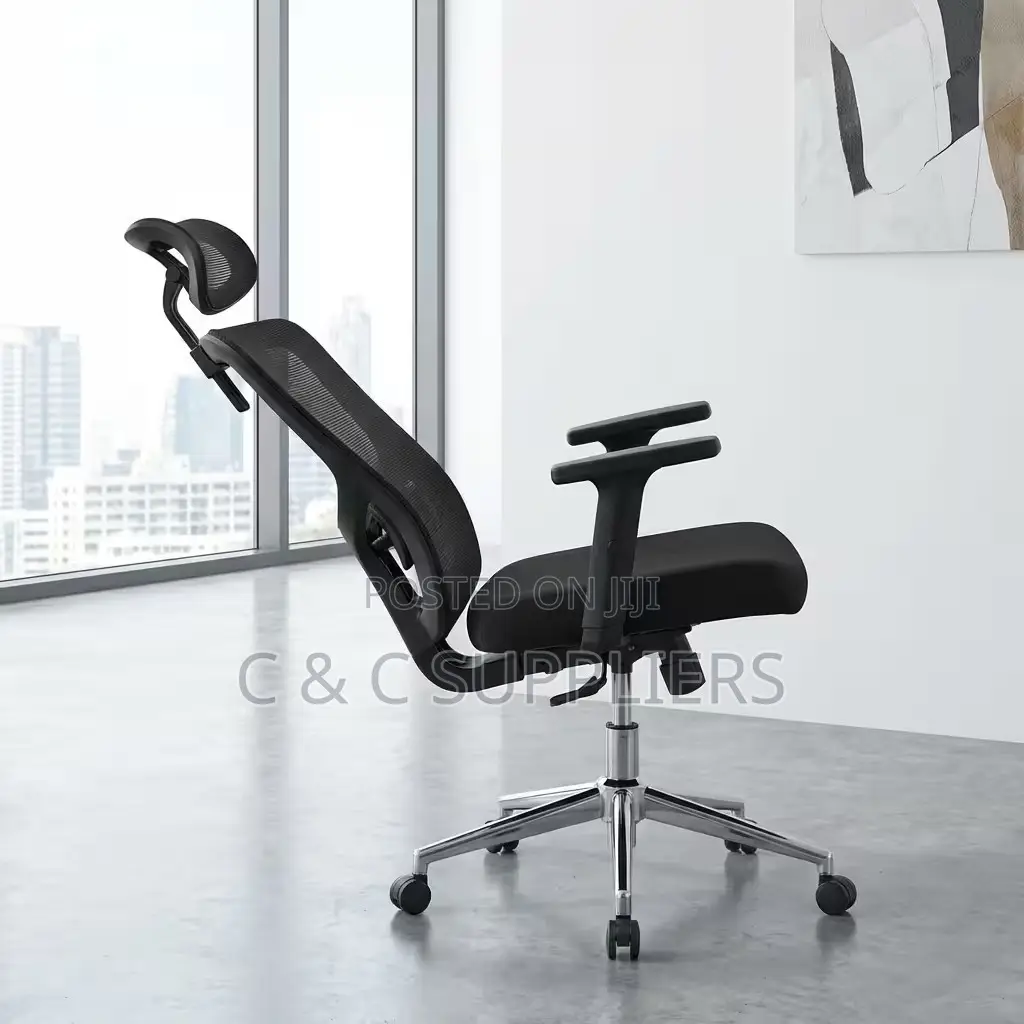 Ergonomic Chair