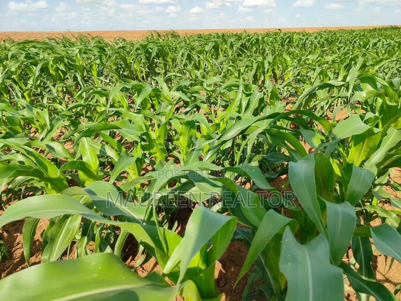 Prime Acres Malindi