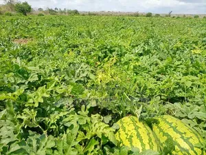 Prime Acres Malindi
