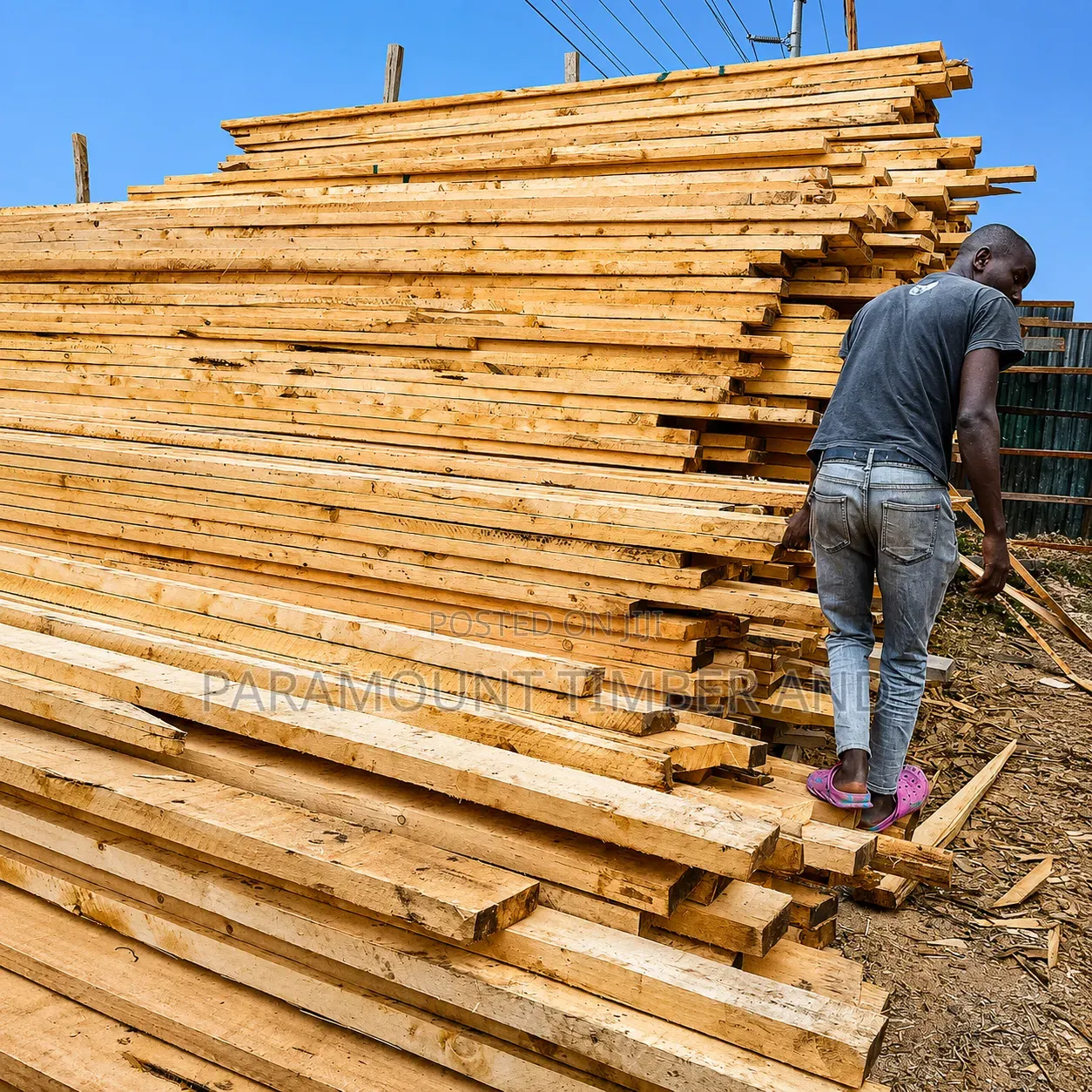 Quality Affordable Long Length and Full Gauge Timber Offer