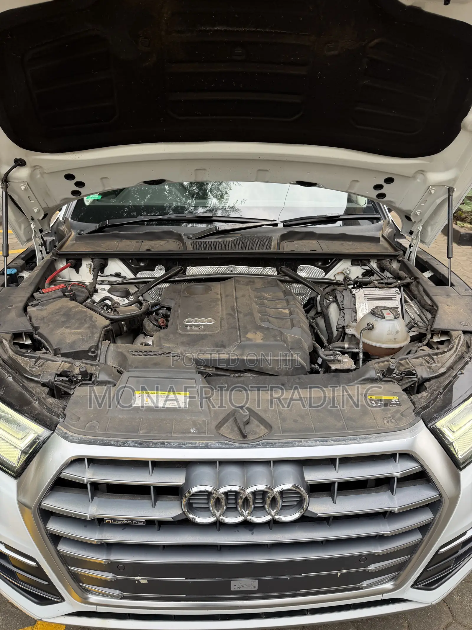 Audi Q5 2.0T Premium AWD quattro 2019 White
