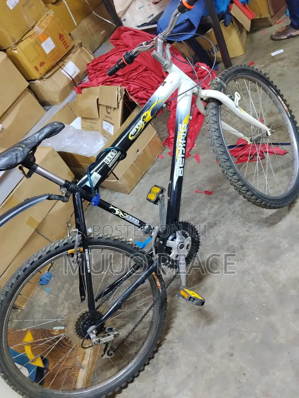 Mountain Bike