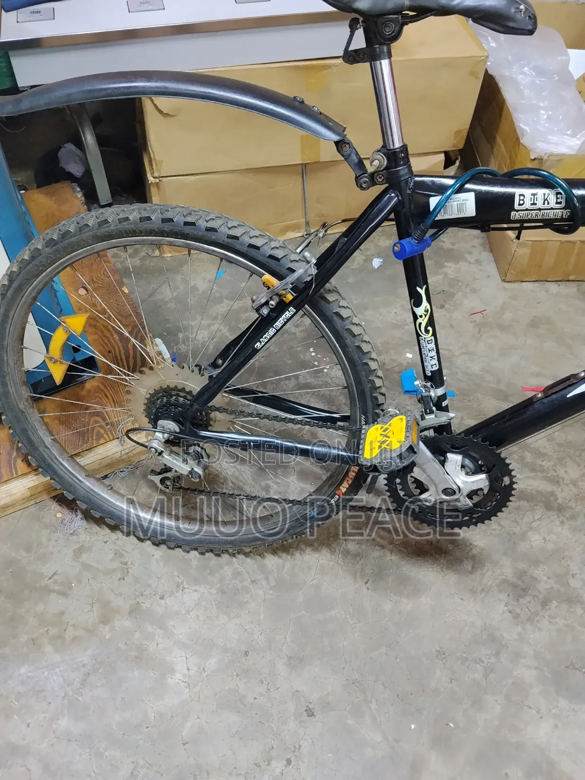 Mountain Bike