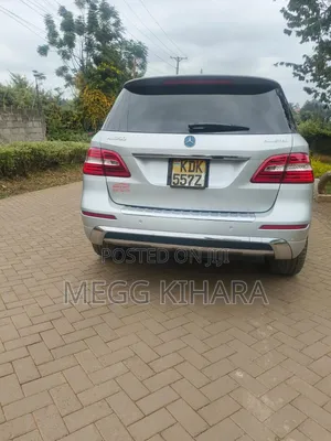 Mercedes-Benz M Class 2014 Silver