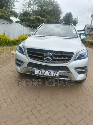 Mercedes-Benz M Class 2014 Silver