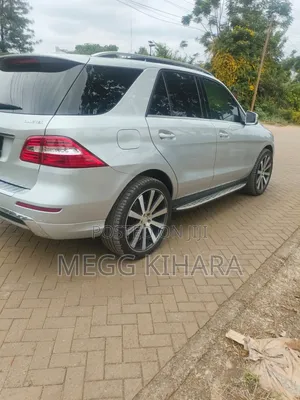Mercedes-Benz M Class 2014 Silver