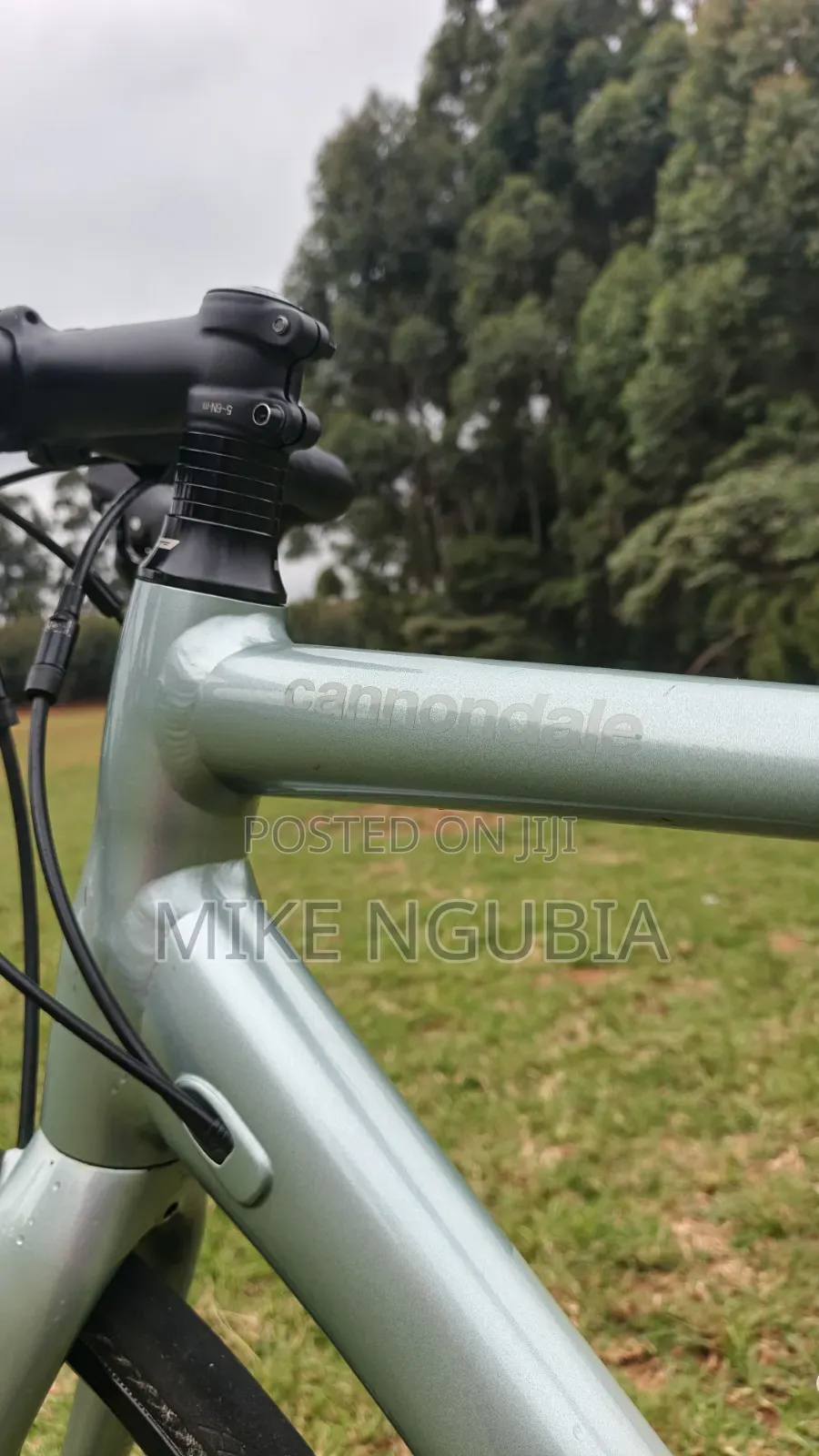 Bicycle - Road Bike