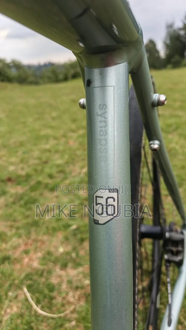 2023 Cannondale Synapse 2 - thumbnail 7