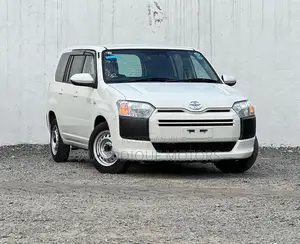 Toyota Probox 2021 Pearl