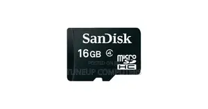 Sandisk 16gb Microsdhc Class 4 Memory Card