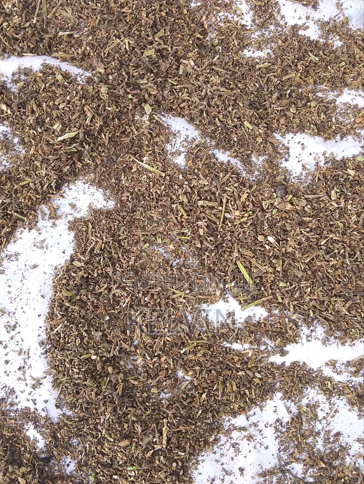 Dry Raw and Processed Tobacco Leafs