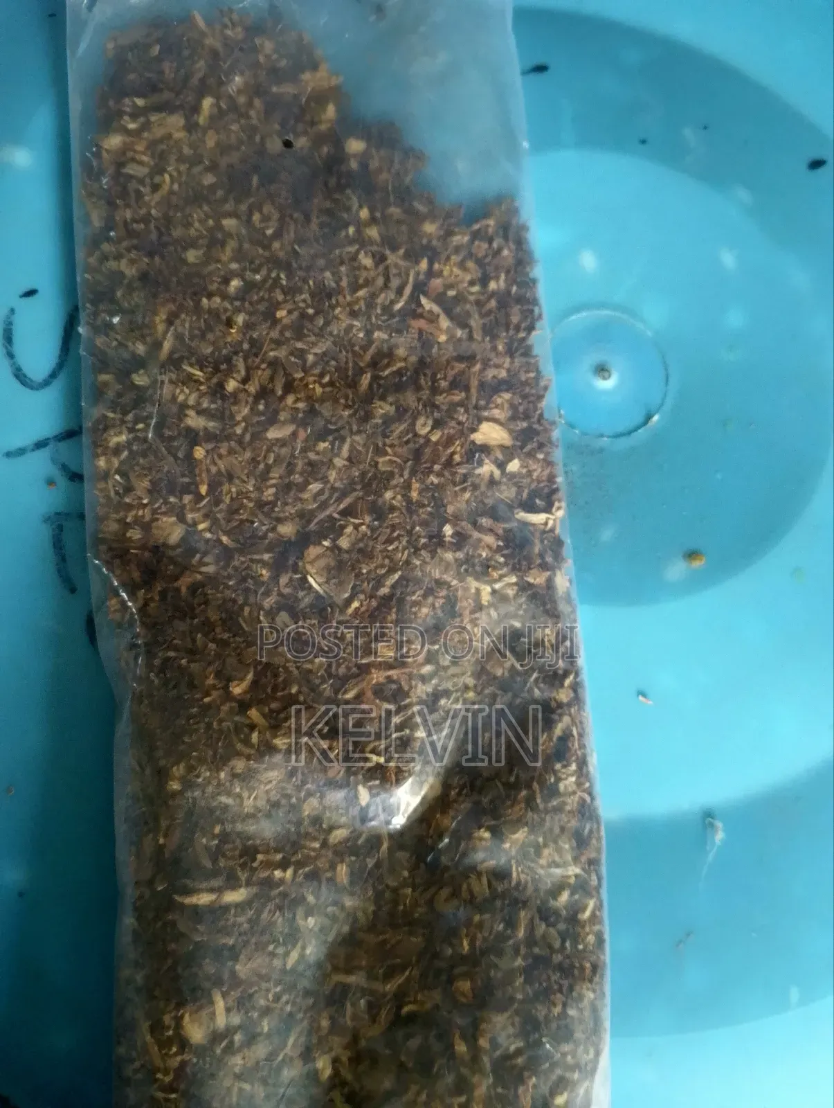 Dry Raw and Processed Tobacco Leafs