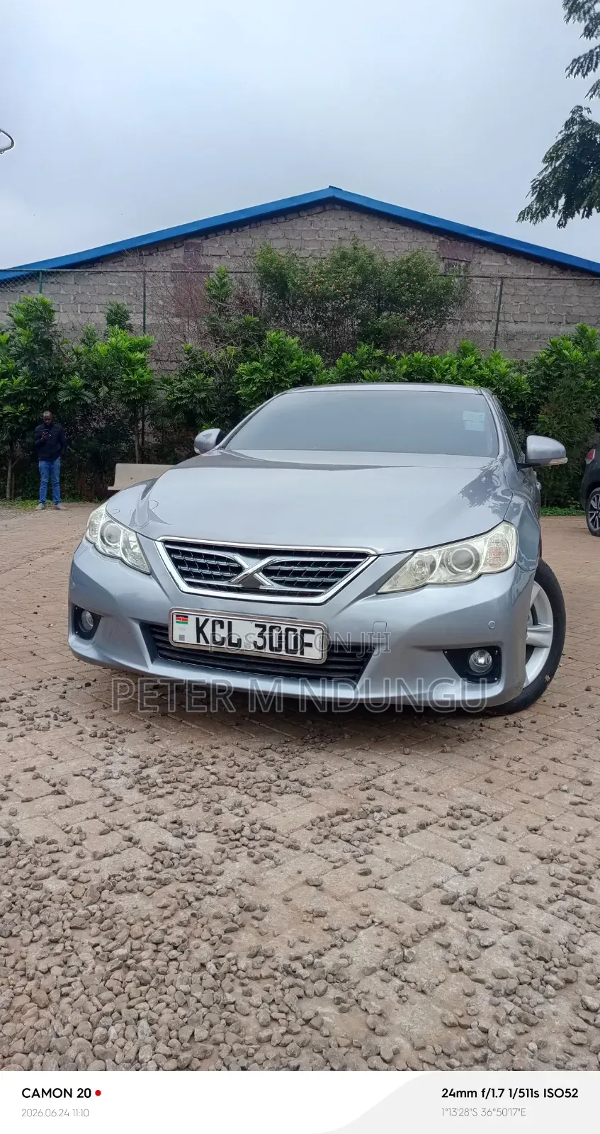 Toyota Mark X 2010 Gray