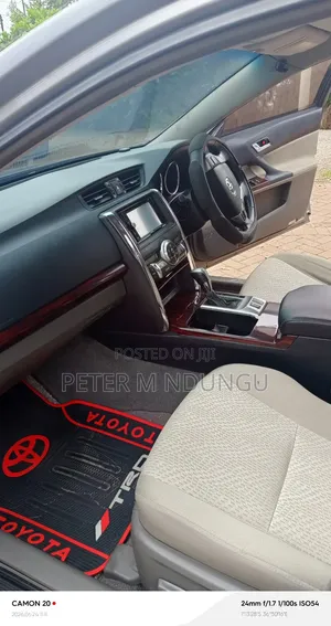 Toyota Mark X 2010 Gray