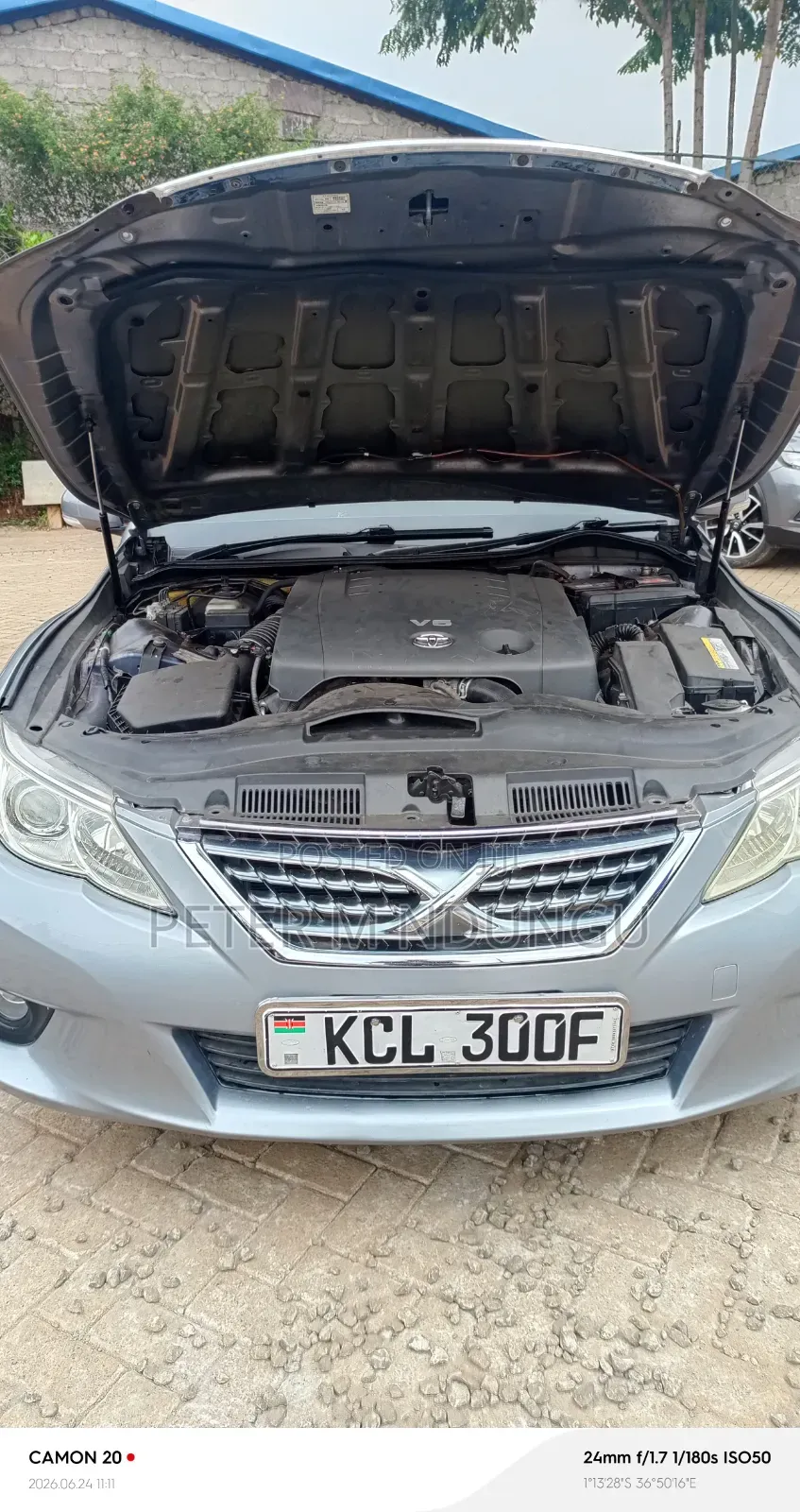 Toyota Mark X 2010 Gray