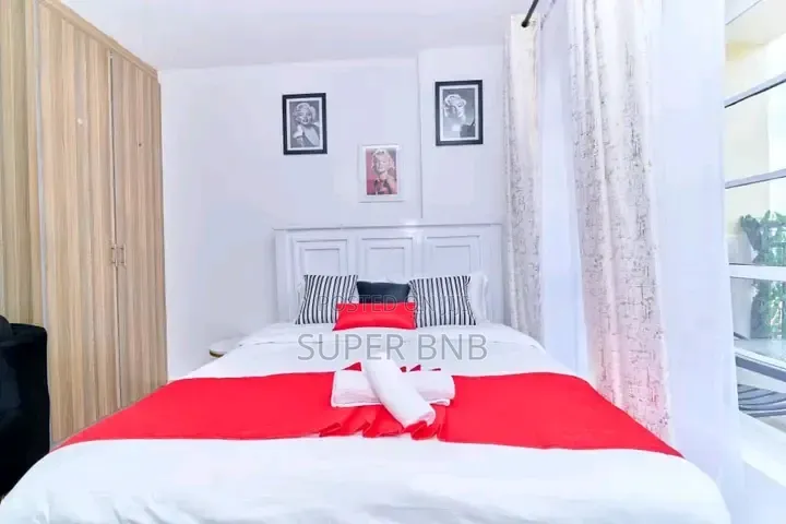 Furnished BNB Studio Apartment Available for Accommodation in Ngara,