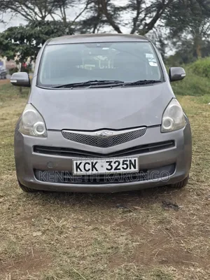 Toyota Ractis 2010 Gray