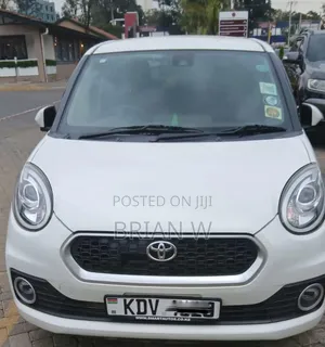 Toyota Passo 2019 Pearl