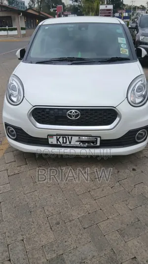 Toyota Passo 2019 Pearl