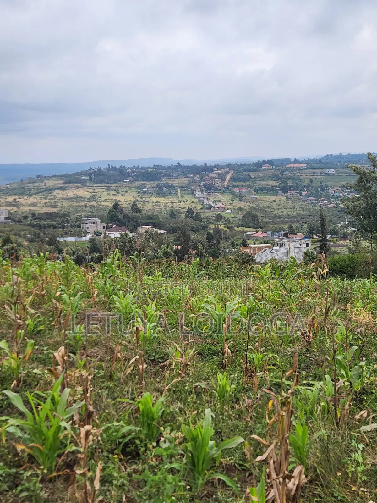 Prime Beautiful 2 Acres Ngong-Kibiko