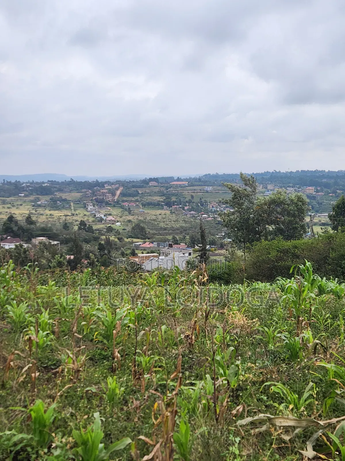 Prime Beautiful 2 Acres Ngong-Kibiko