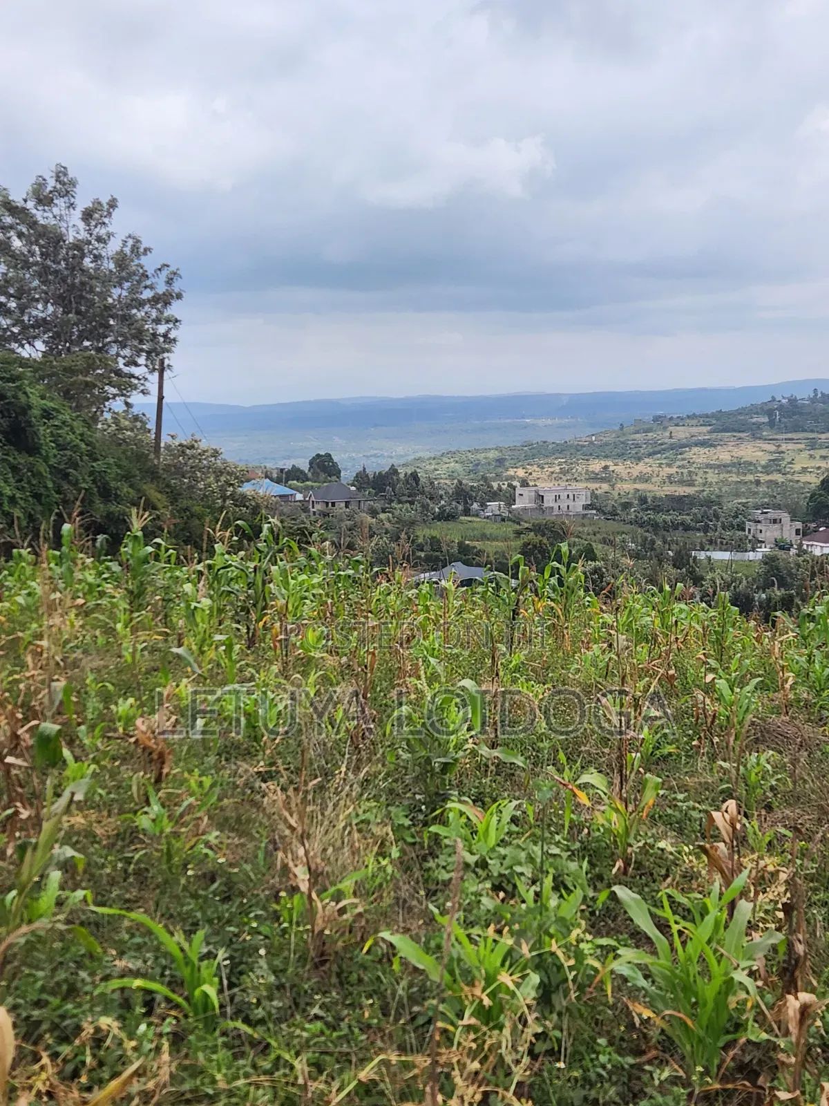 Prime Beautiful 2 Acres Ngong-Kibiko