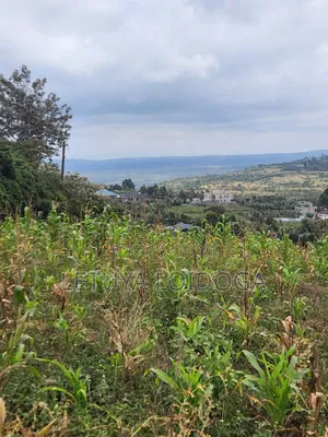 Prime Beautiful 2 Acres Ngong-Kibiko