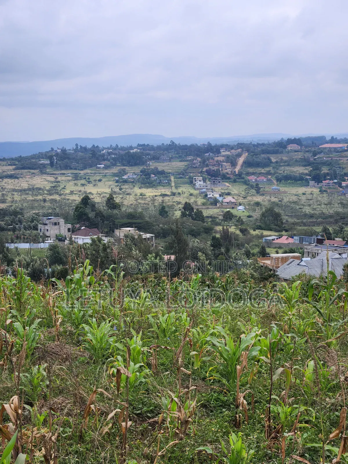 Prime Beautiful 2 Acres Ngong-Kibiko