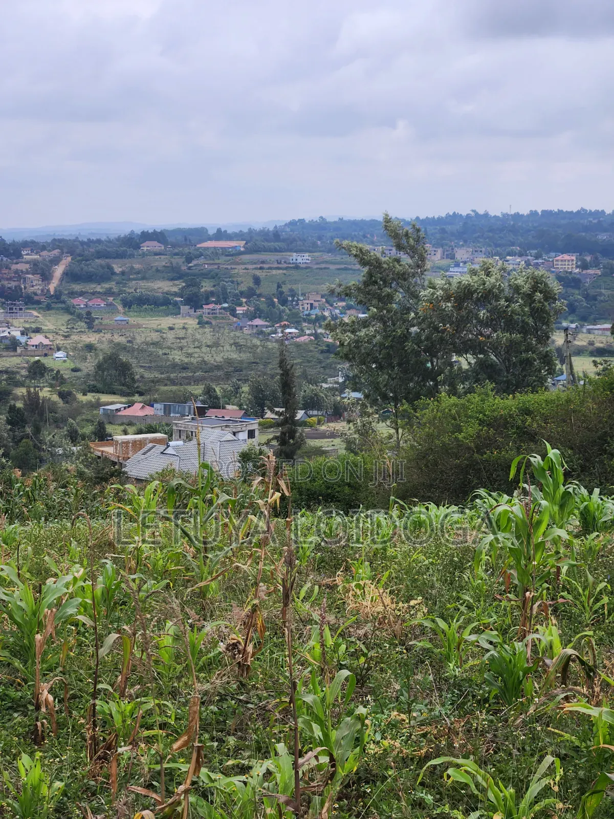 Prime Beautiful 2 Acres Ngong-Kibiko