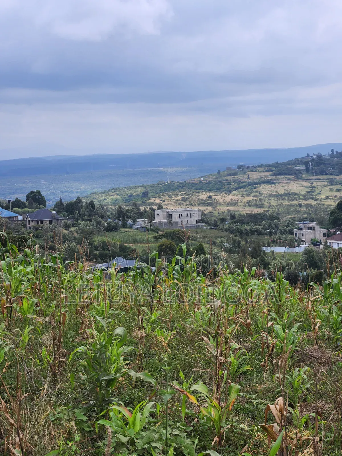 Prime Beautiful 2 Acres Ngong-Kibiko